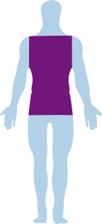 body parts
